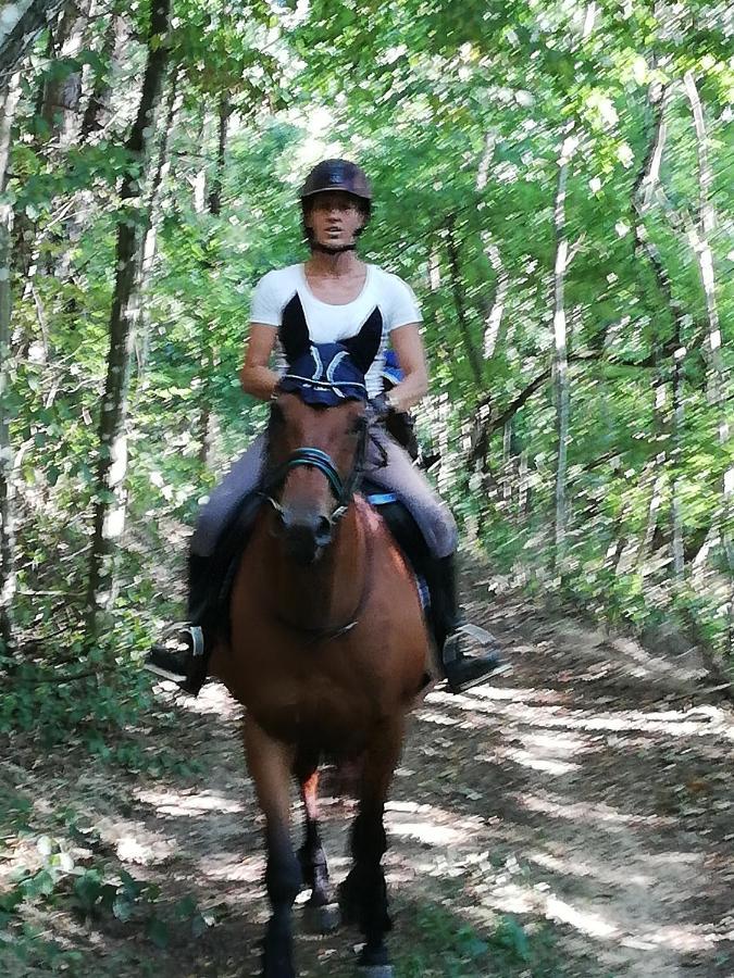 Chambre D'Hote Equestre Au Petit Bonheur Chateldon Εξωτερικό φωτογραφία