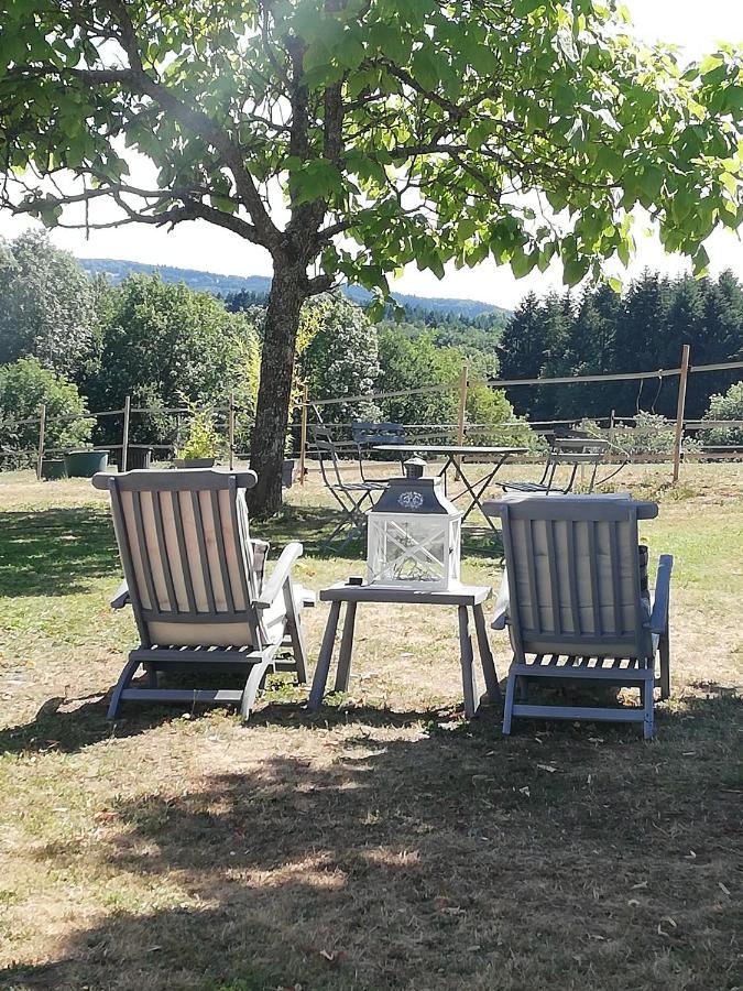Chambre D'Hote Equestre Au Petit Bonheur Chateldon Εξωτερικό φωτογραφία