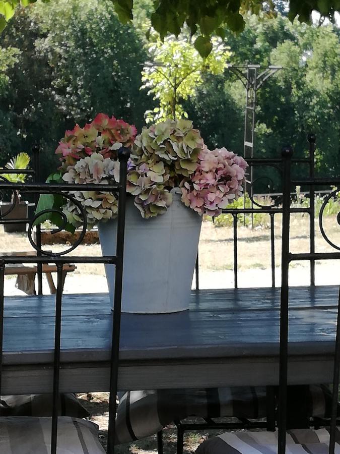 Chambre D'Hote Equestre Au Petit Bonheur Chateldon Εξωτερικό φωτογραφία